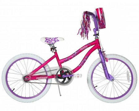 Dynacraft 20 inch Girls Rule Bike for Girls with Handlebar Bag Included